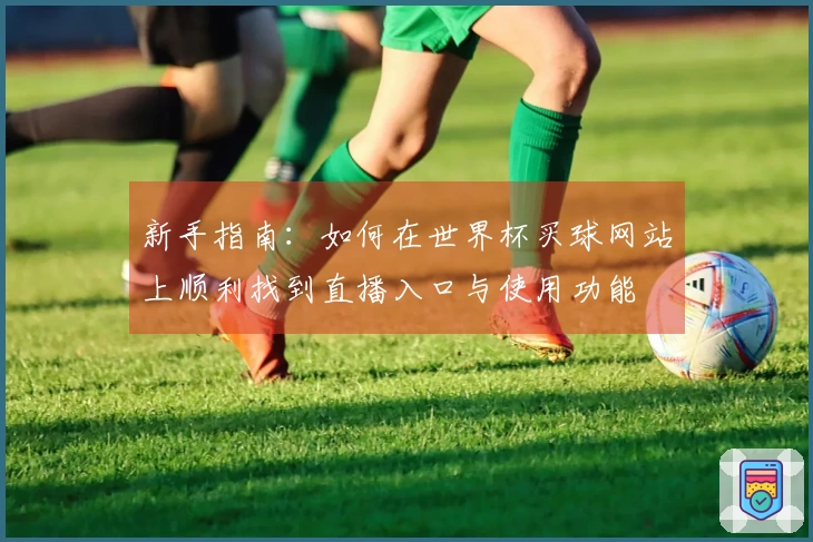 新手指南：如何在世界杯买球网站上顺利找到直播入口与使用功能