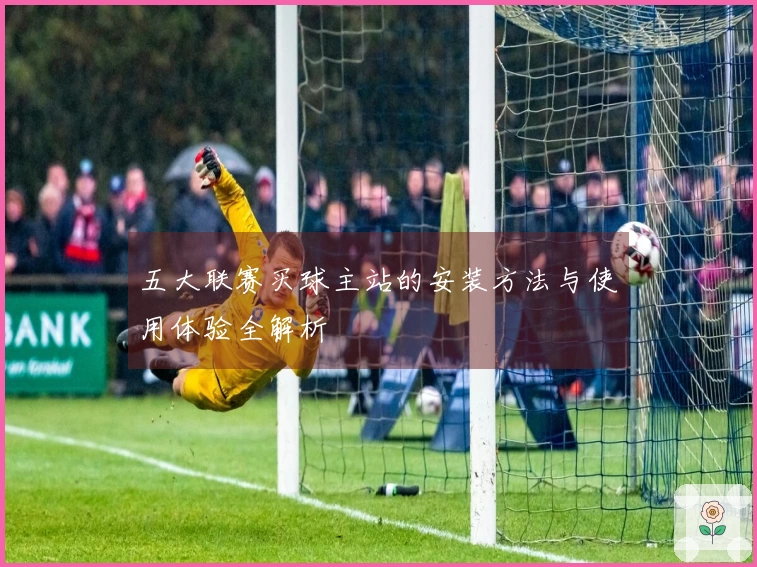 五大联赛买球主站的安装方法与使用体验全解析