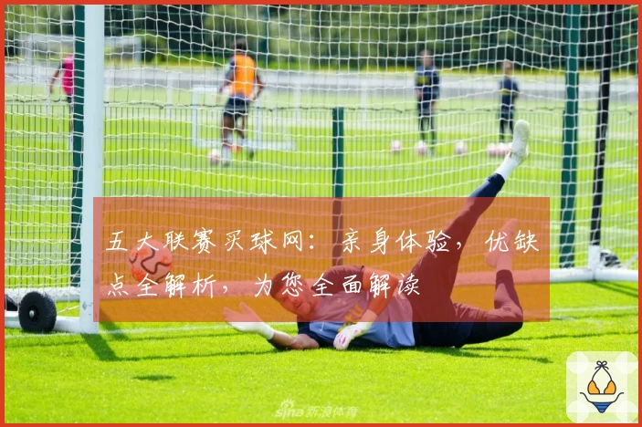 五大联赛买球网：亲身体验，优缺点全解析，为您全面解读